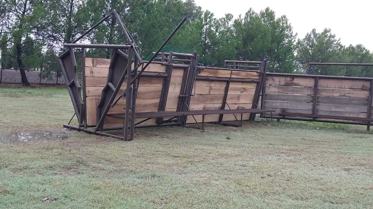 WhatsApp Image 2025-04-08 at 08.06.58 (2)